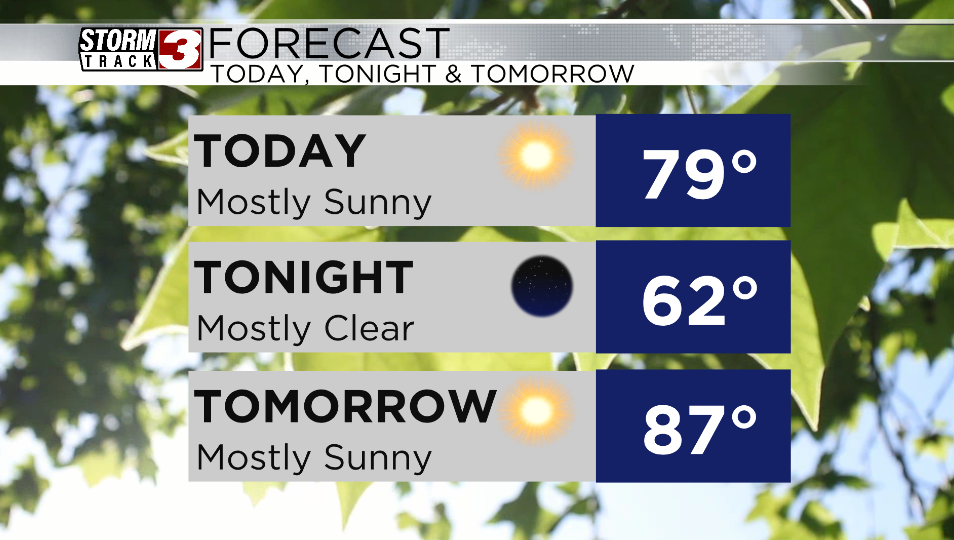 Forecast